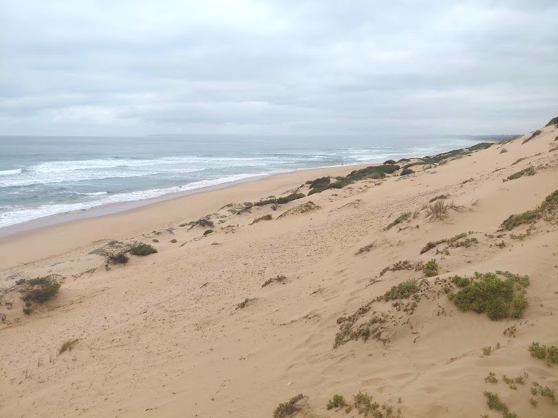 Commercial Property for Sale in Die Eiland Western Cape